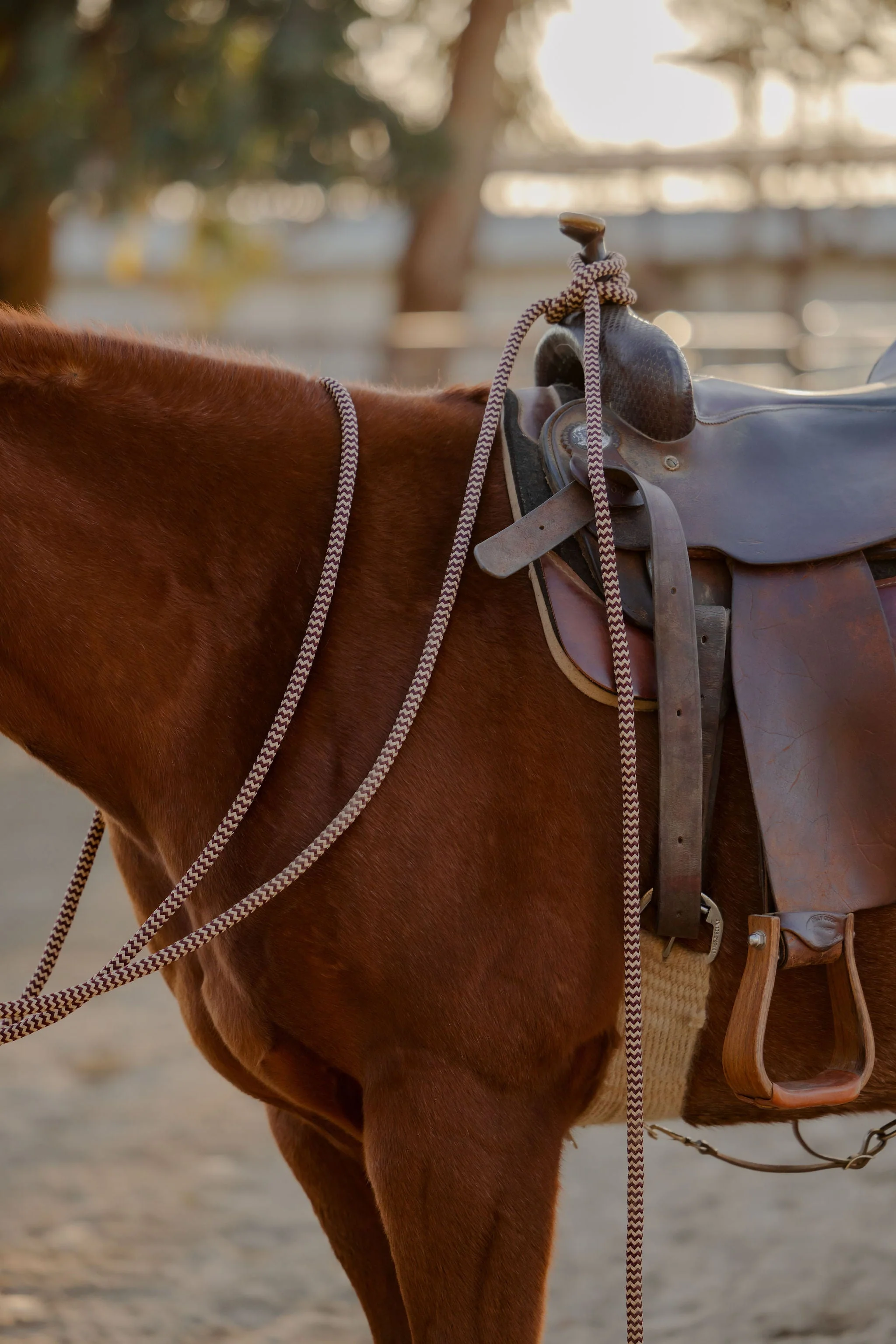 22 Ft Clinician Mecate Reins - Image 10