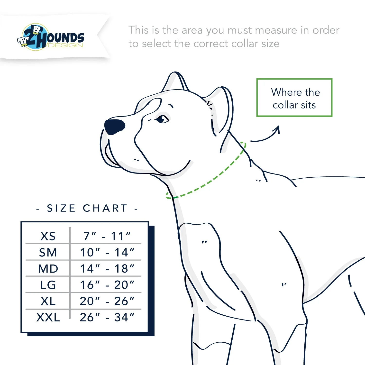 5/8″ and 1″ Turquoise Nylon Dog Collar - Image 4