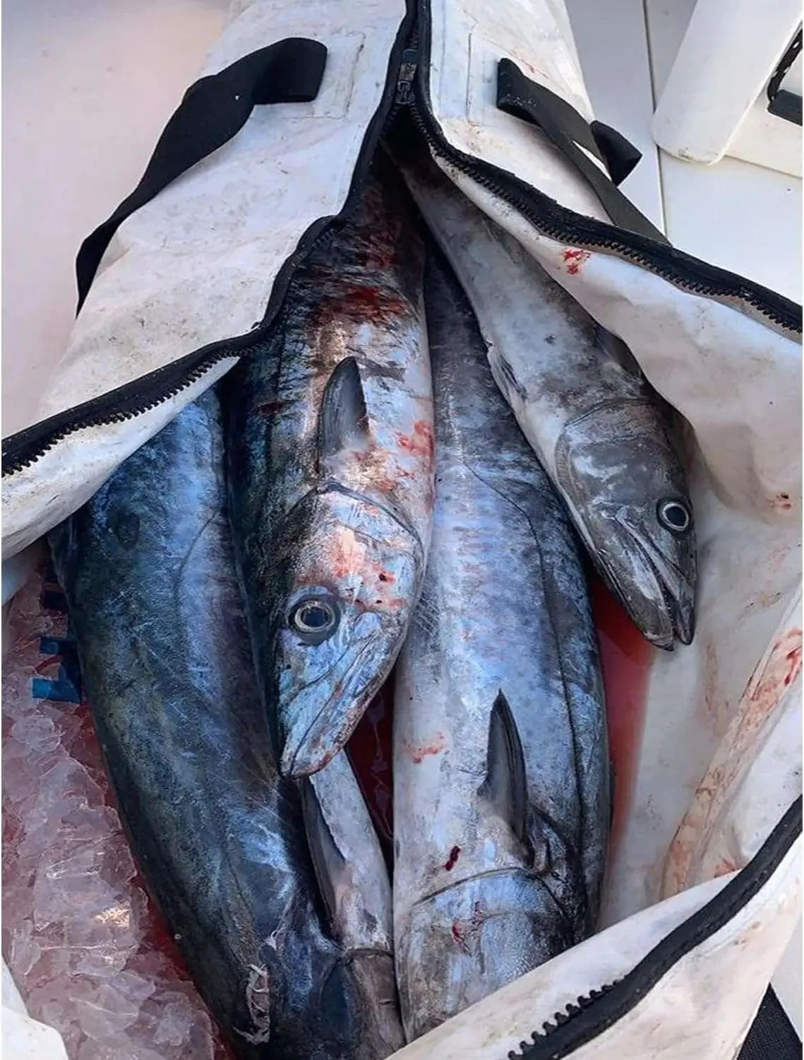 84QT Fish Cooler Bag With Flat Bottom - Image 5