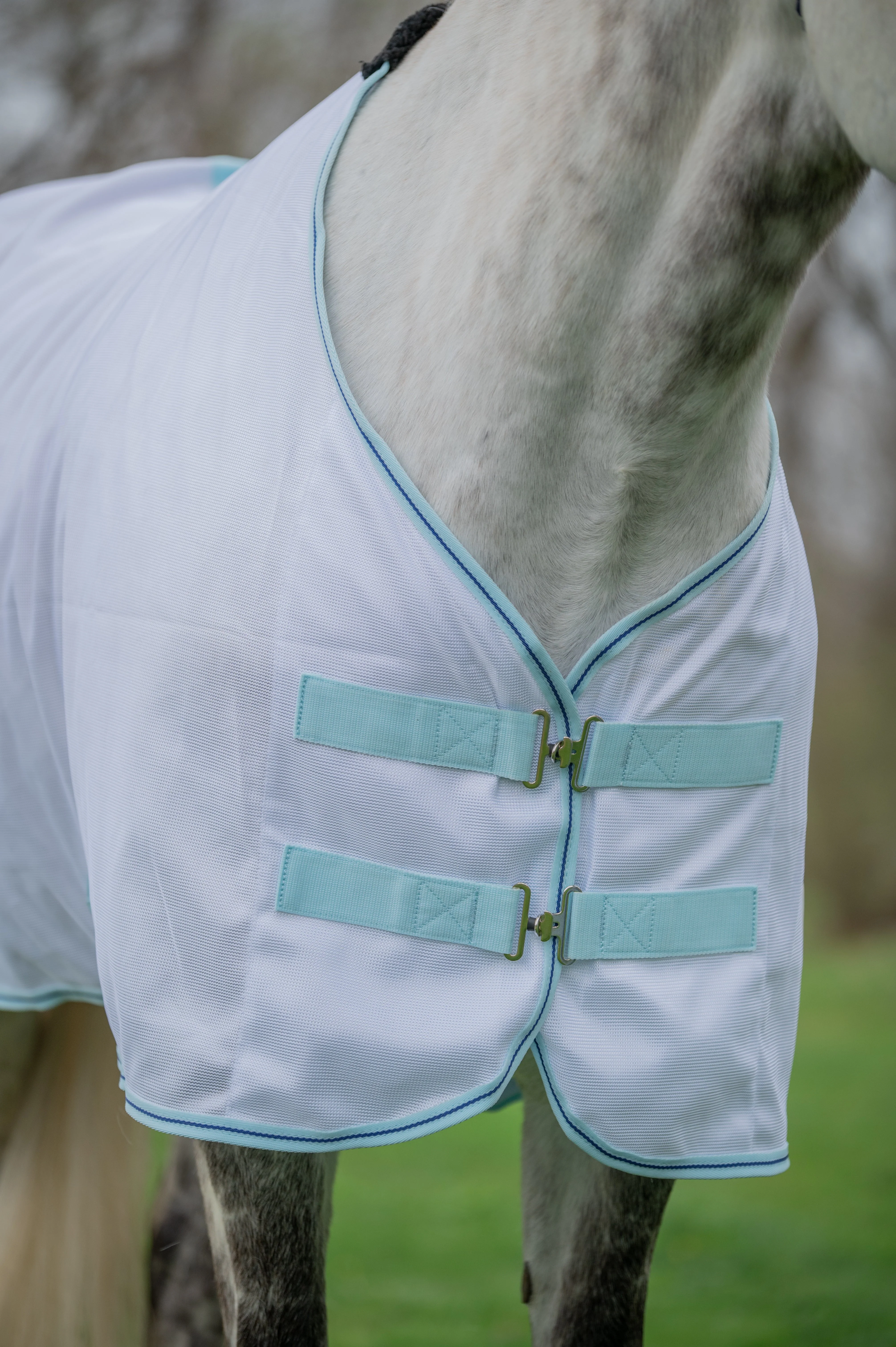 AJ Tack Lightweight Fly Sheet - Image 3