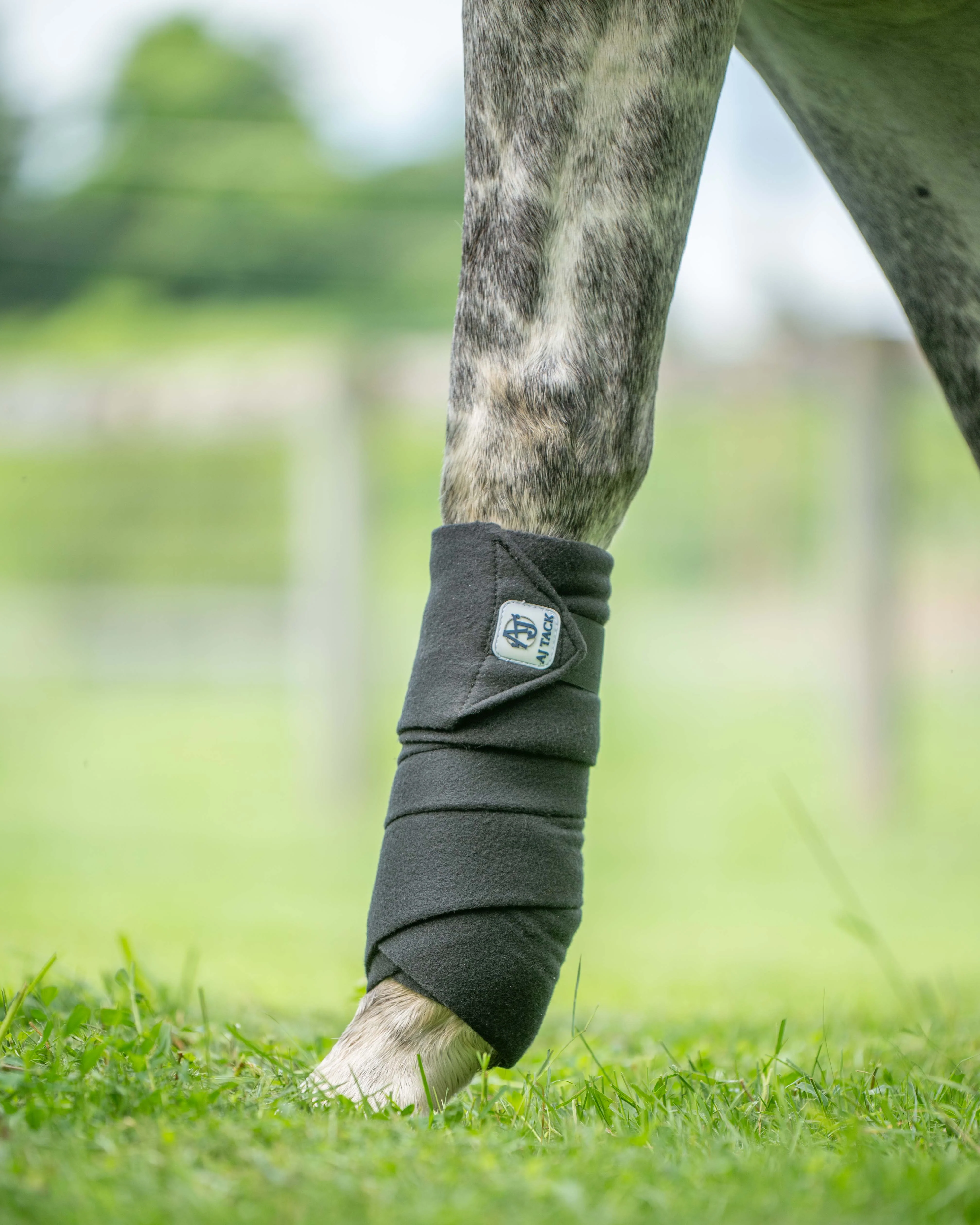 AJ Tack Polo Wraps - 12 ft - Pack of 4 - Image 2