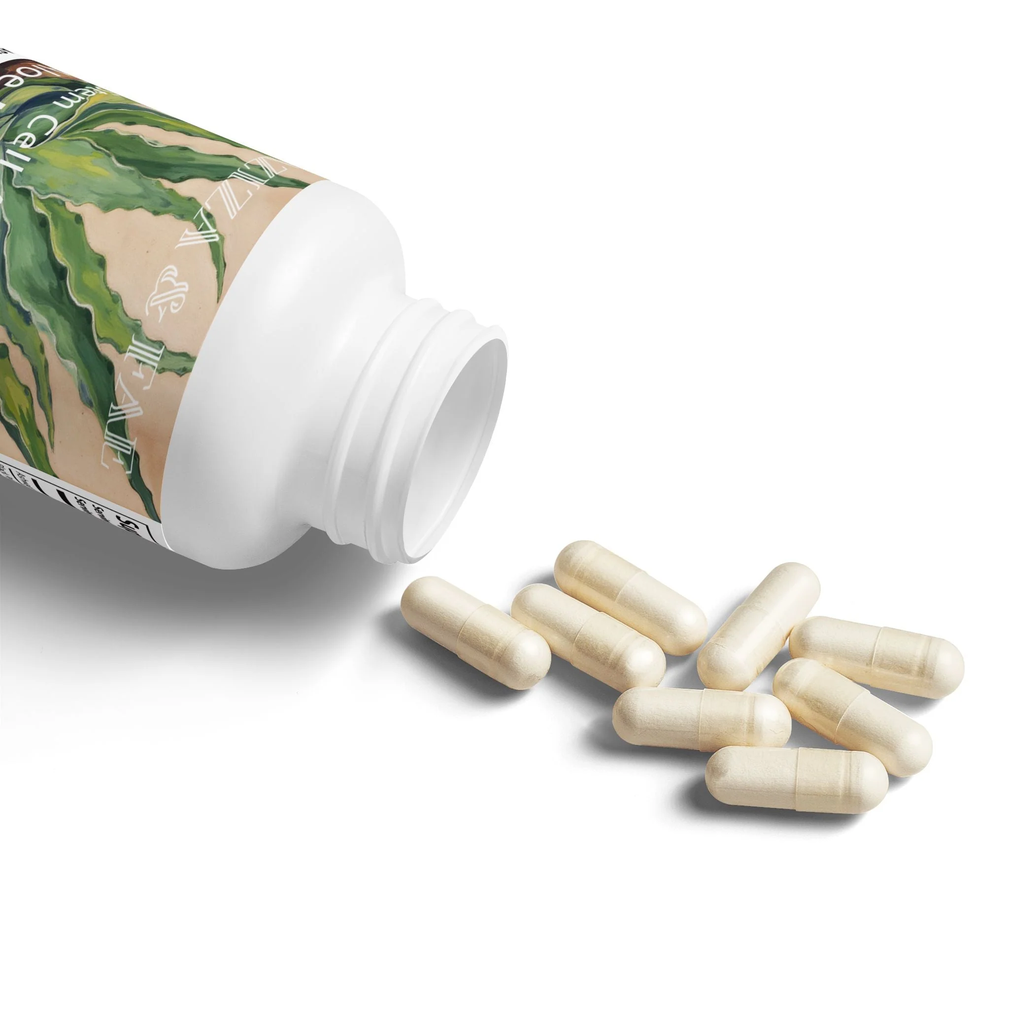 Aloe Macroclada Stem Cell Activation Capsules and Powder - Image 5