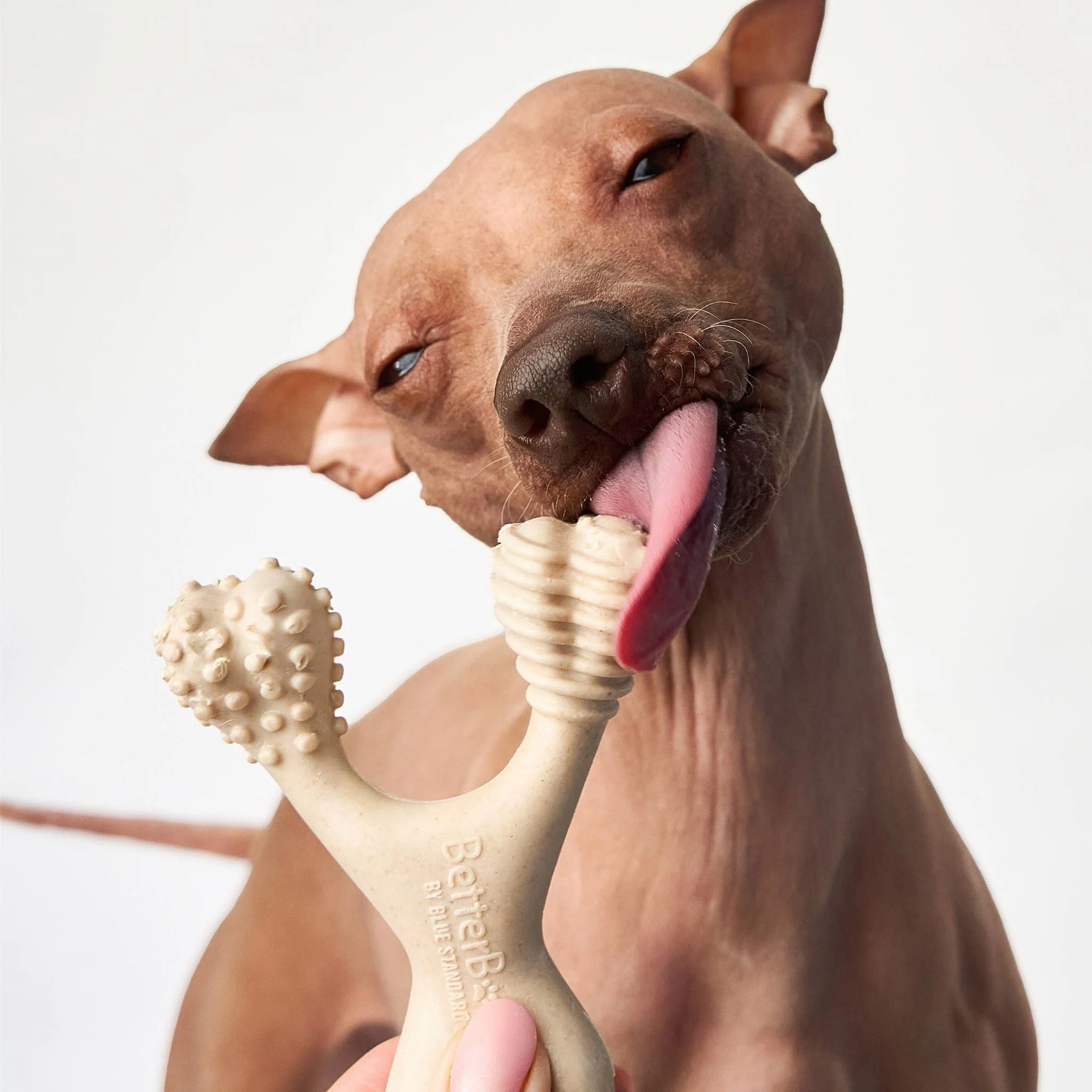 BetterBone SOFT Durability CHEW TOY: Natural Plant-Based Ingredients, Perfect for Teething Puppies, Senior Dogs & Gentle Chewers - Image 5