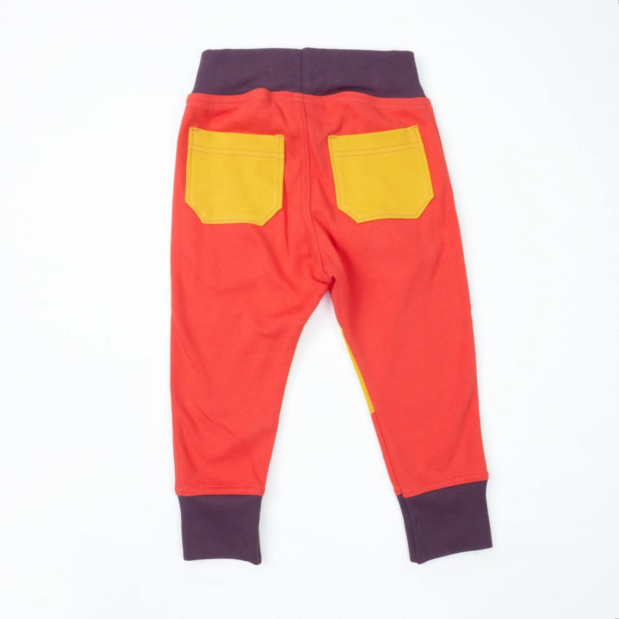 Big Kid Colorblock Joggers - Image 8