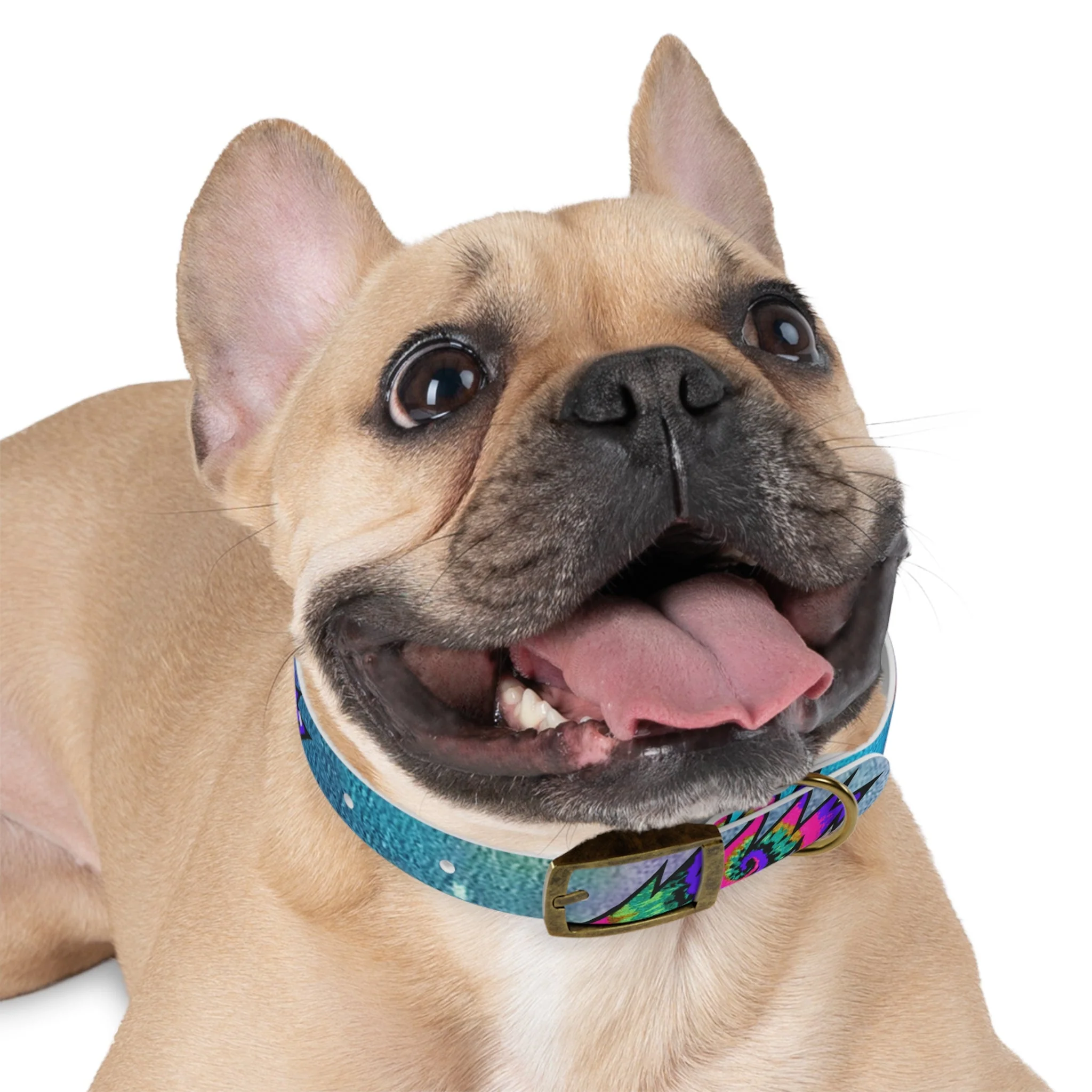 Bolt Dog Collar - Image 18