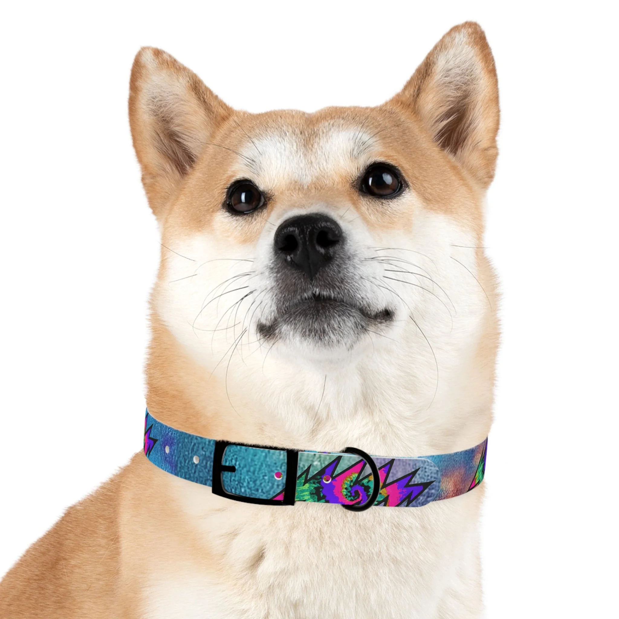 Bolt Dog Collar - Image 20