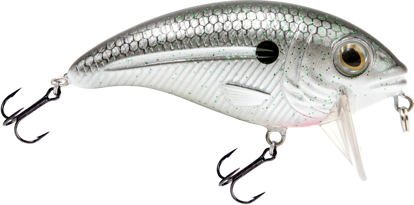 Bull Nose - Image 2