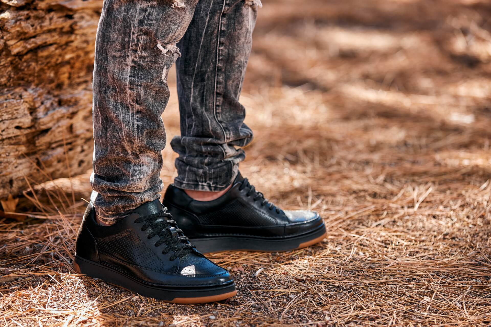 CALTO - Y7931 - 2.6 Inches Taller (Noir/Black & Gum Sole) - Elevated Leather Micro-Perforated Sneakers - Image 10