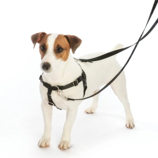 Cherry Blossoms Freedom No-Pull Dog Harness – EarthStyle - Image 4