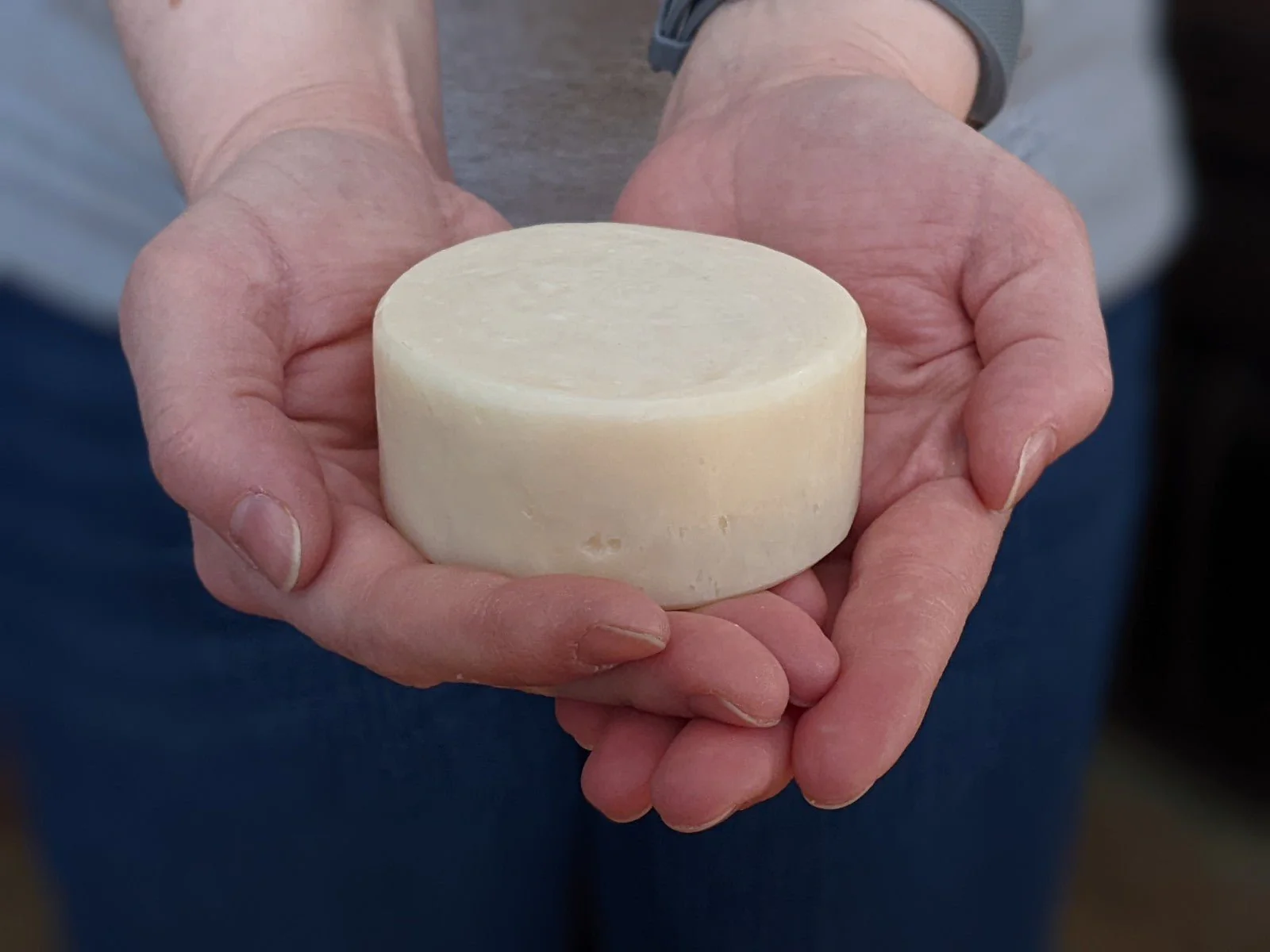 Cocoa & Fresh Mint Shampoo/Conditioner Bar - Image 9