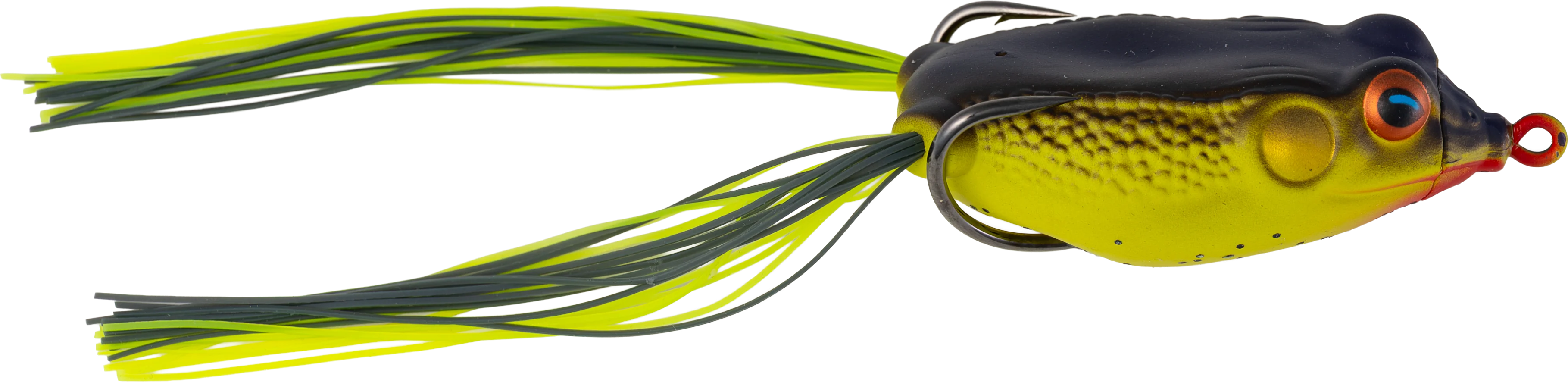 Con Frog - Image 9