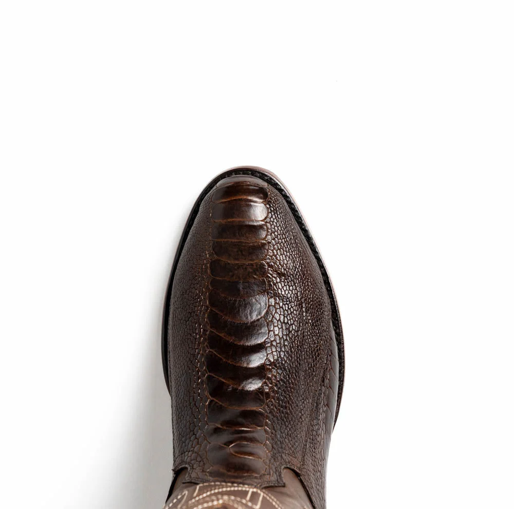 Denver Clear Brown - Image 9