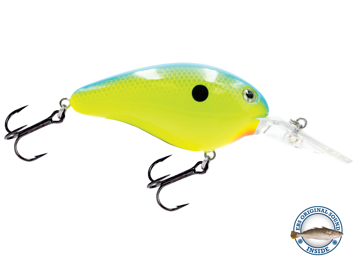 Dive Master 14 - Image 8