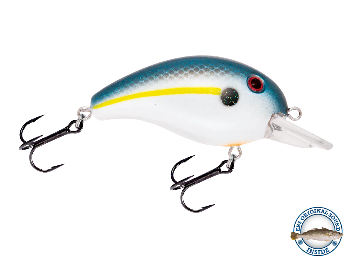 Dive Master Jr - Image 10