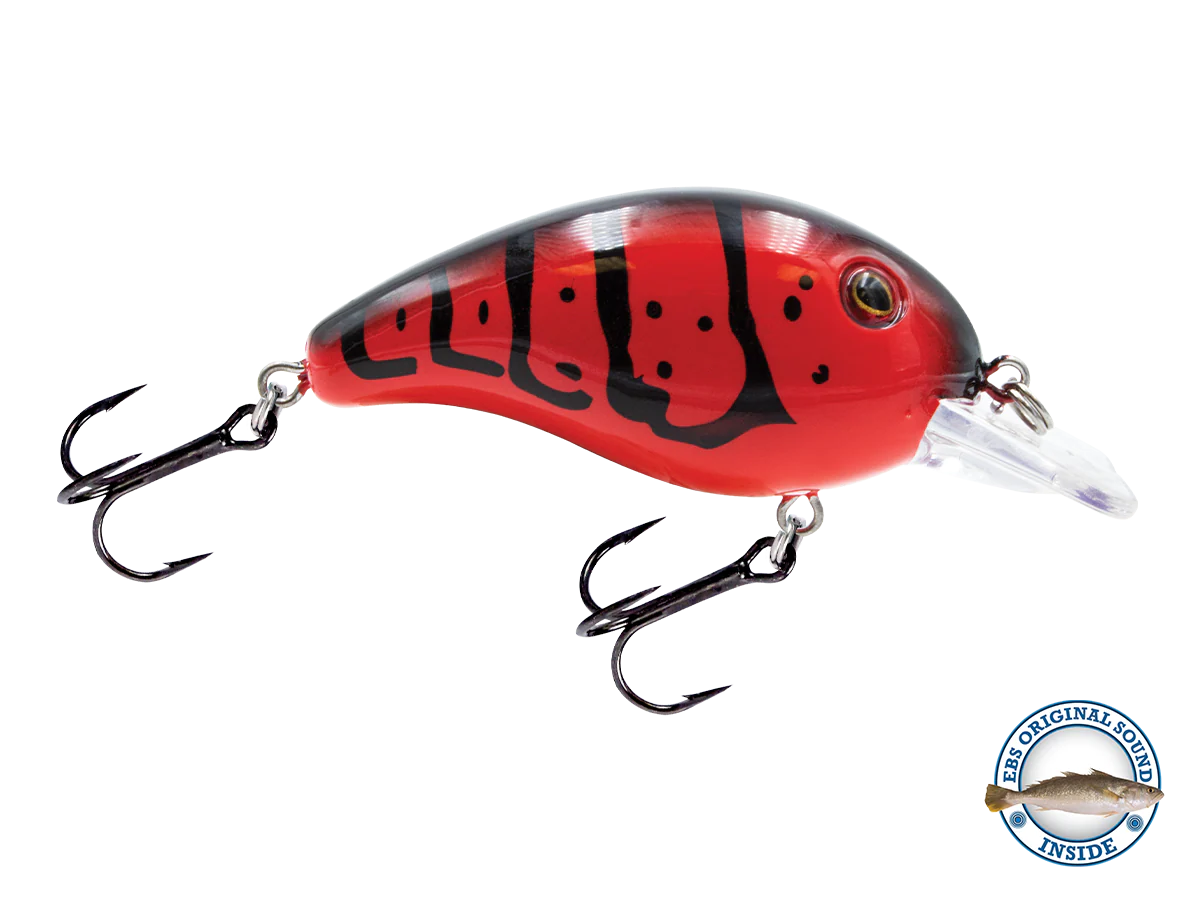 Dive Master Jr - Image 7