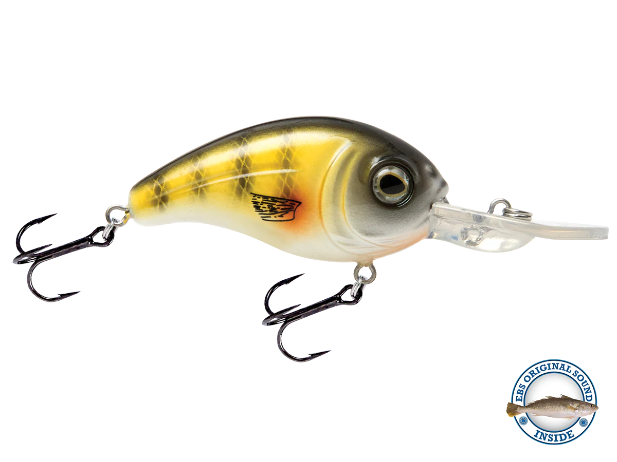 Dive Master Jr 8 - Image 13