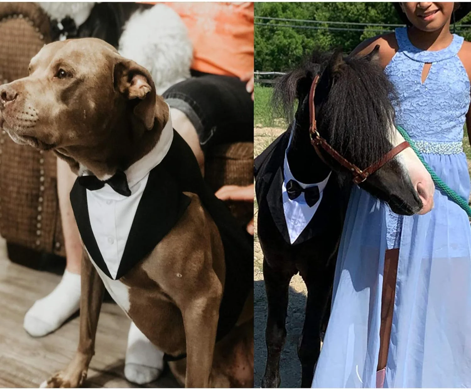 Dog Tuxedo Suit with Bow Tie ā Wedding & Formal Outfit - Image 6