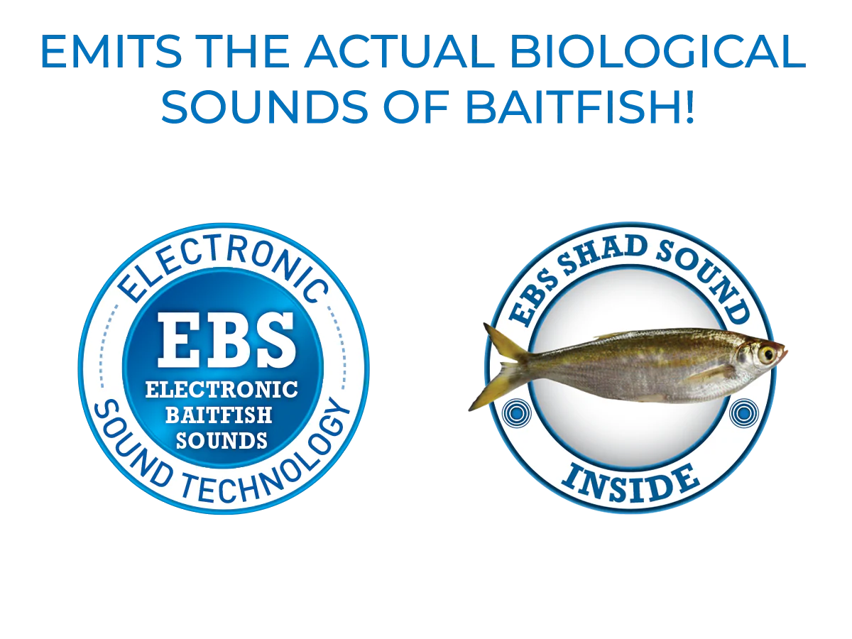 EBS Jigging Spoon - Image 41