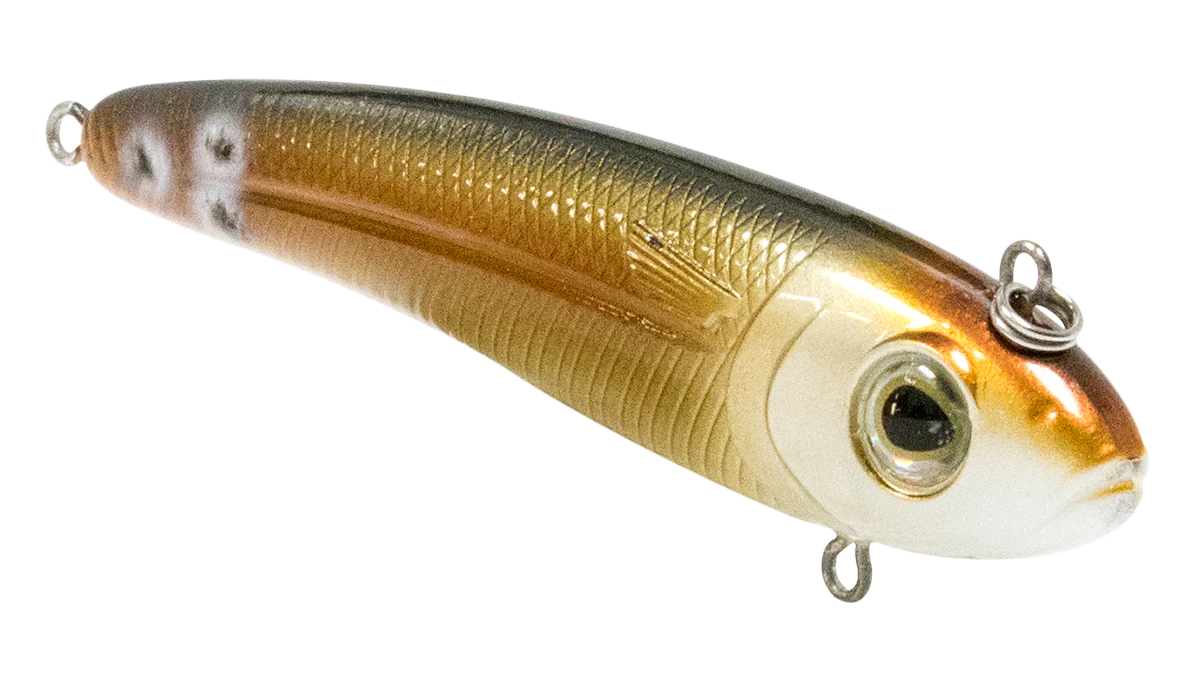 EBS Mullet - Image 12
