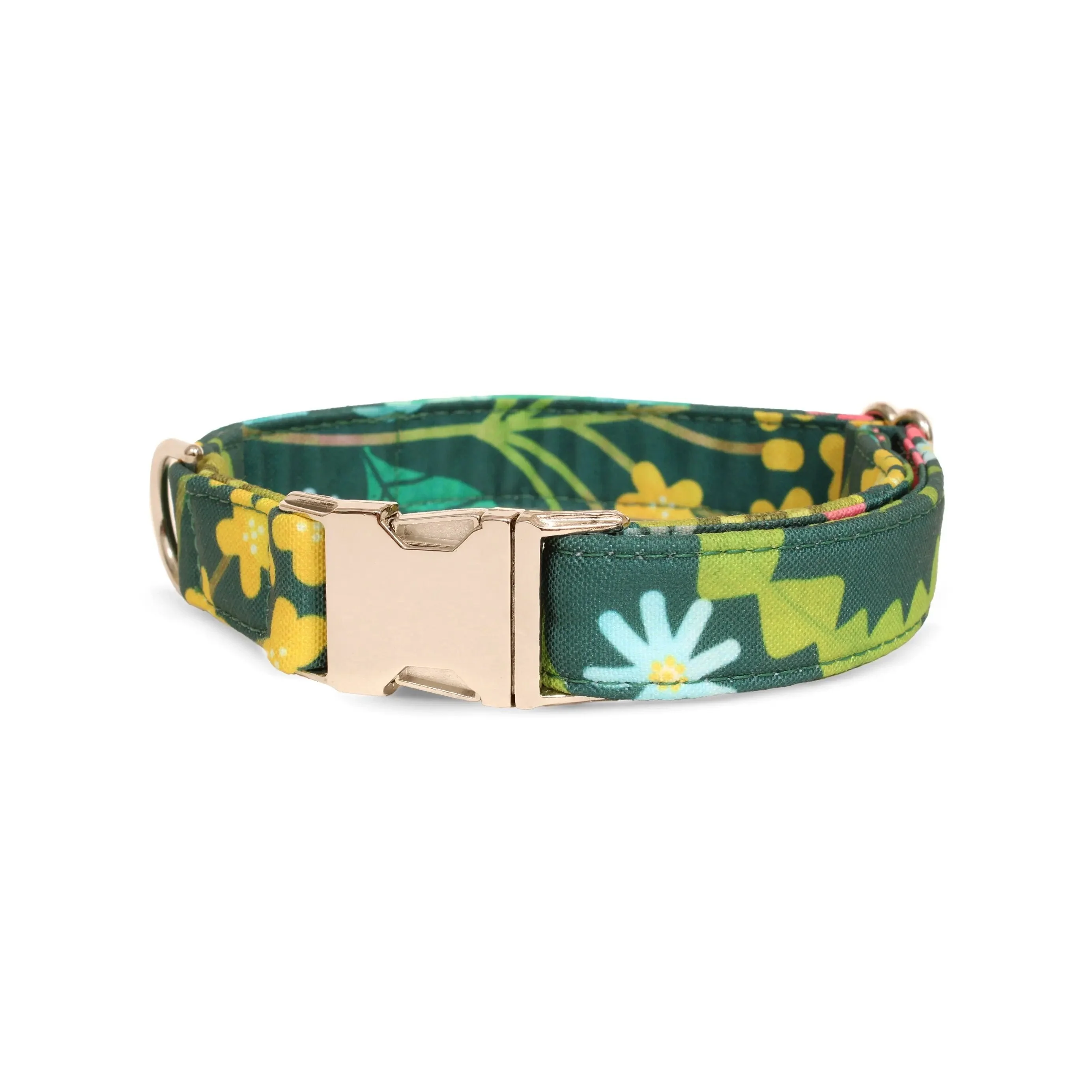 Eden Recycled Dog Collar