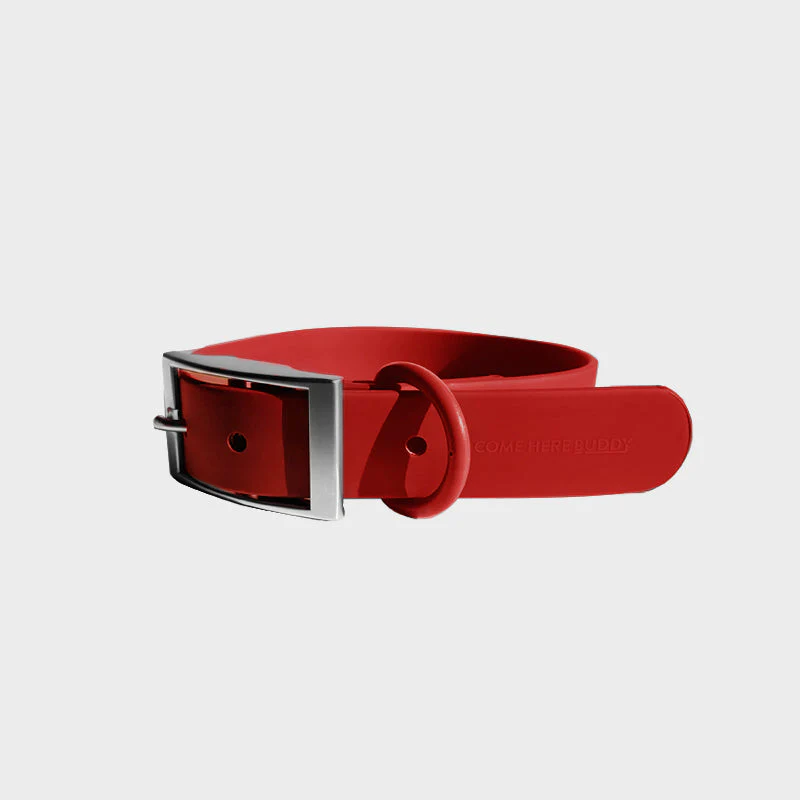 Everyday Collar