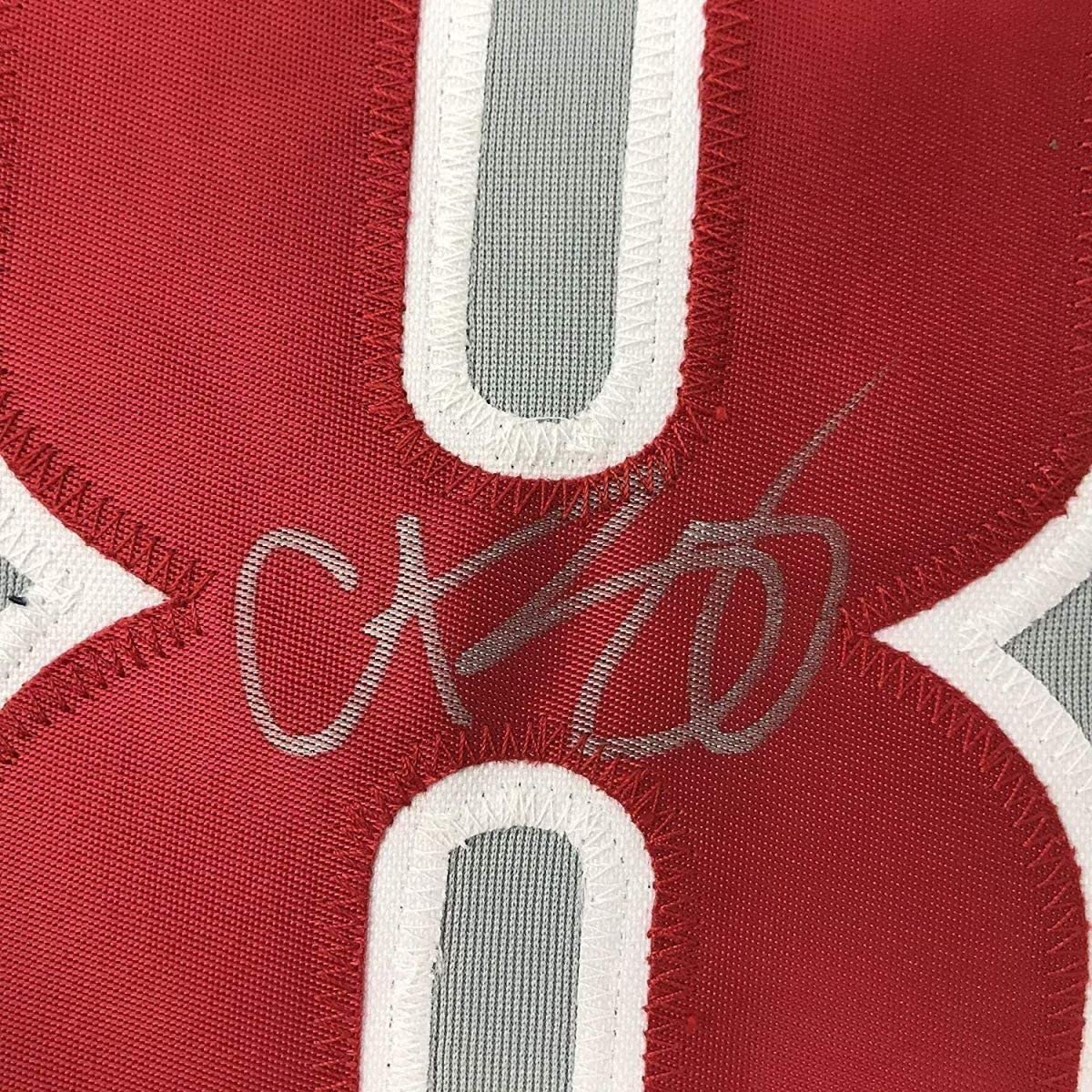 Framed Autographed/Signed Curt Schilling 35x39 Philadelphia Grey Baseball Jersey JSA COA - Image 2