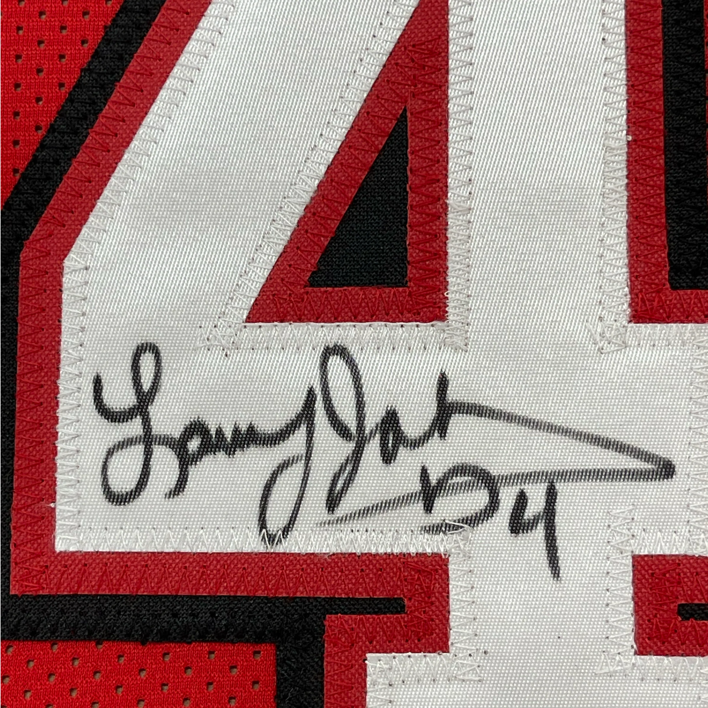 Framed Autographed/Signed Larry Johnson 35x39 UNLV Red College Basketball Jersey PSA/DNA COA - Image 2