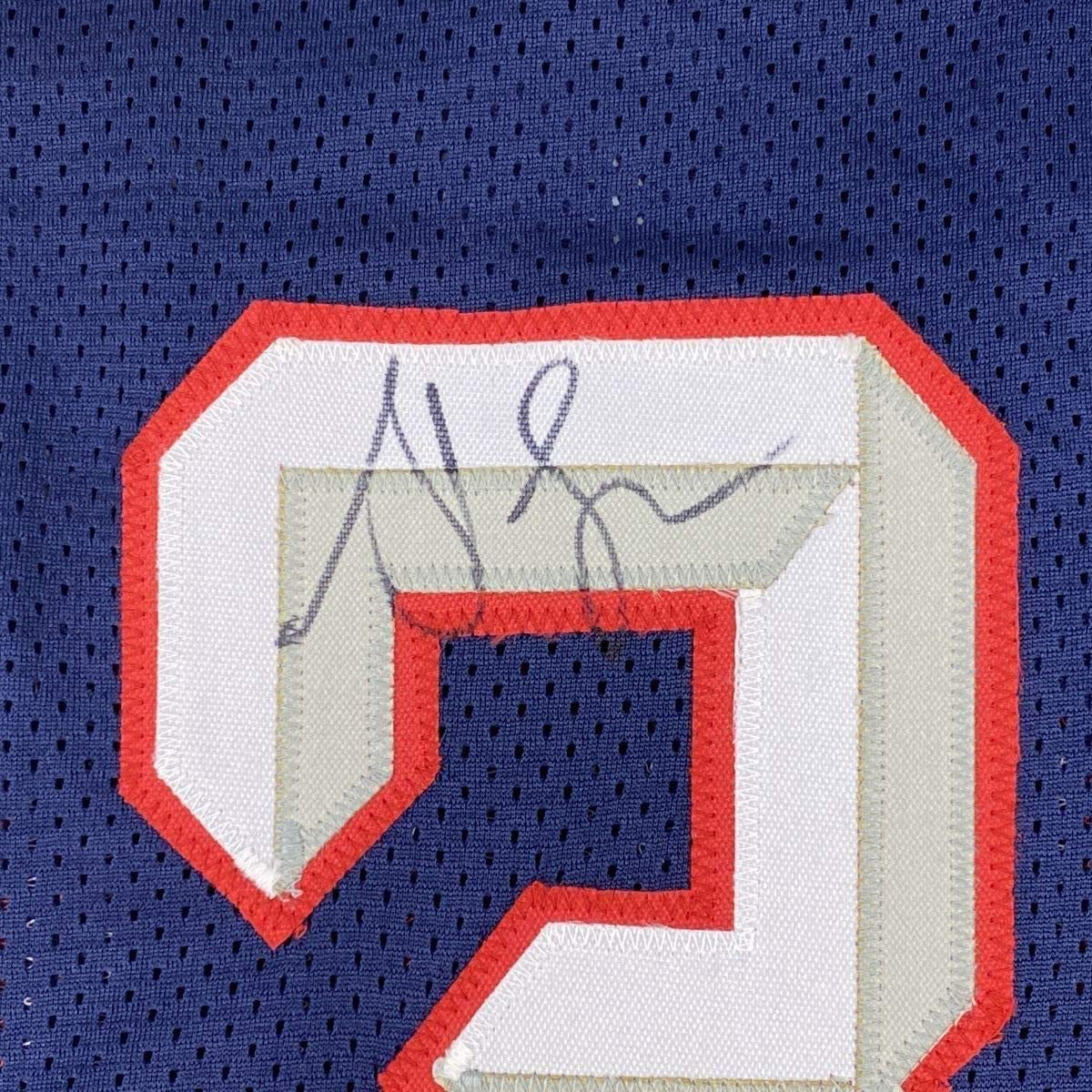 Framed Autographed/Signed Steve Francis 35x39 Houston Blue Basketball Jersey JSA COA - Image 2