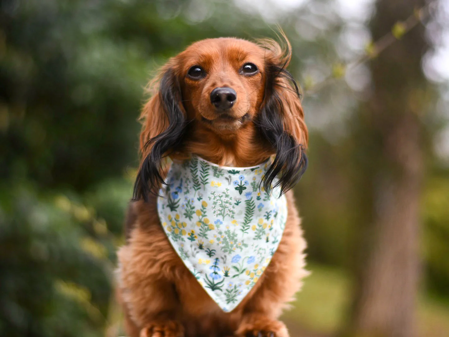 "Halloween Cupcakes" Dog Bandana - Image 7