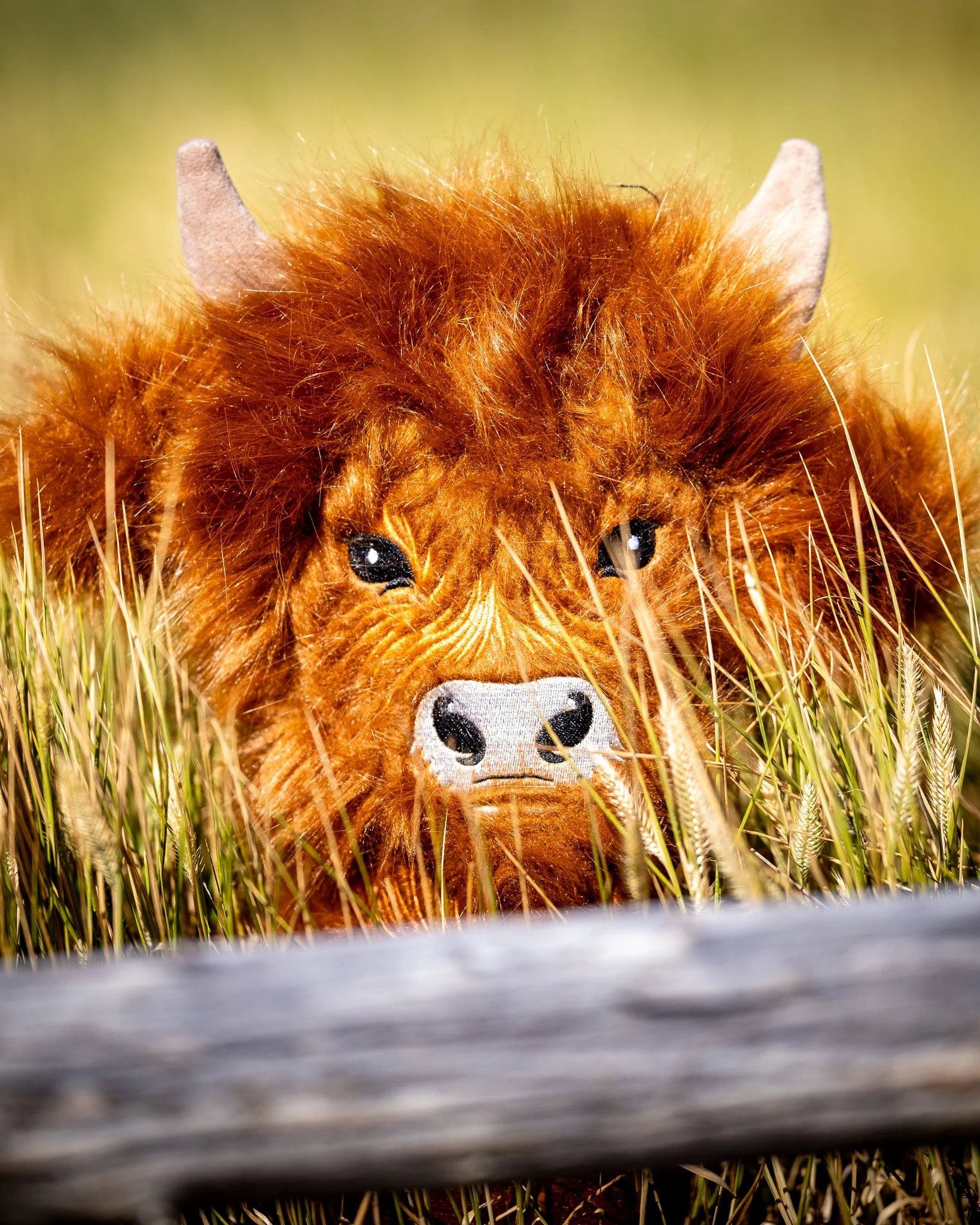 Highland Cow - Driver Cover - Image 8