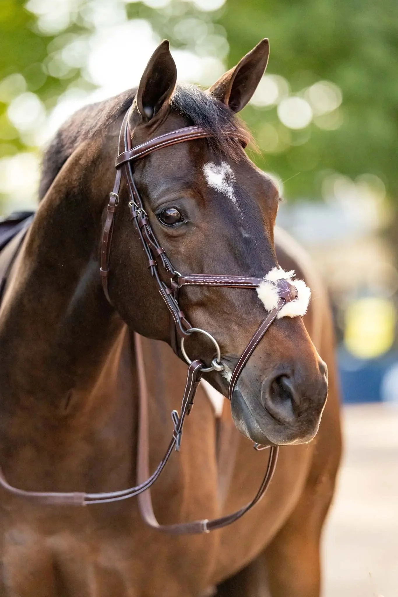 Huntley Equestrian Sedgwick Leather Padded Monocrown Figure 8 Bridle - Image 3