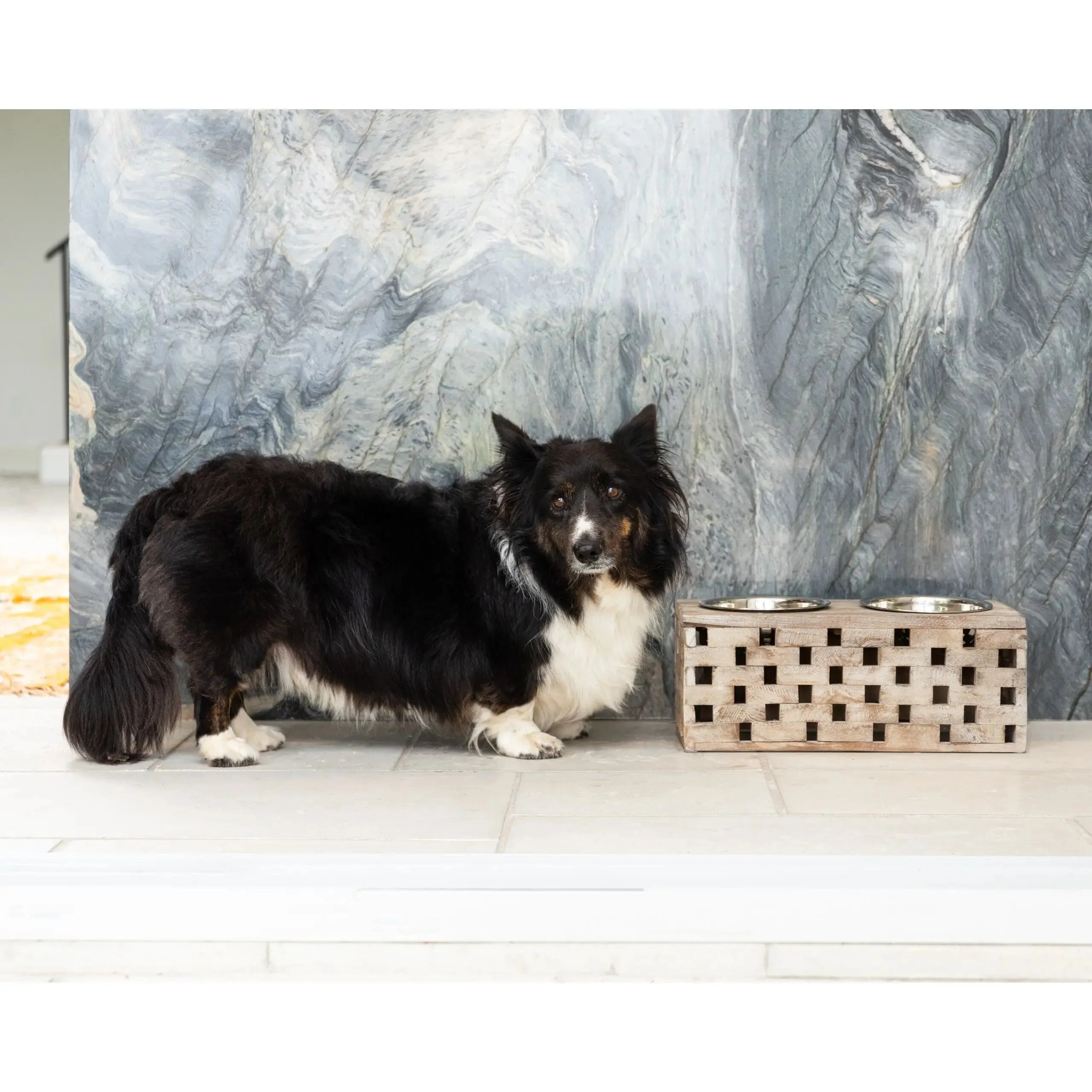 Huntley Pet Elevated Dog and Cat Double Bowl Feeder - Image 20