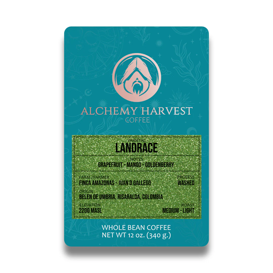Landrace - Washed - Image 3