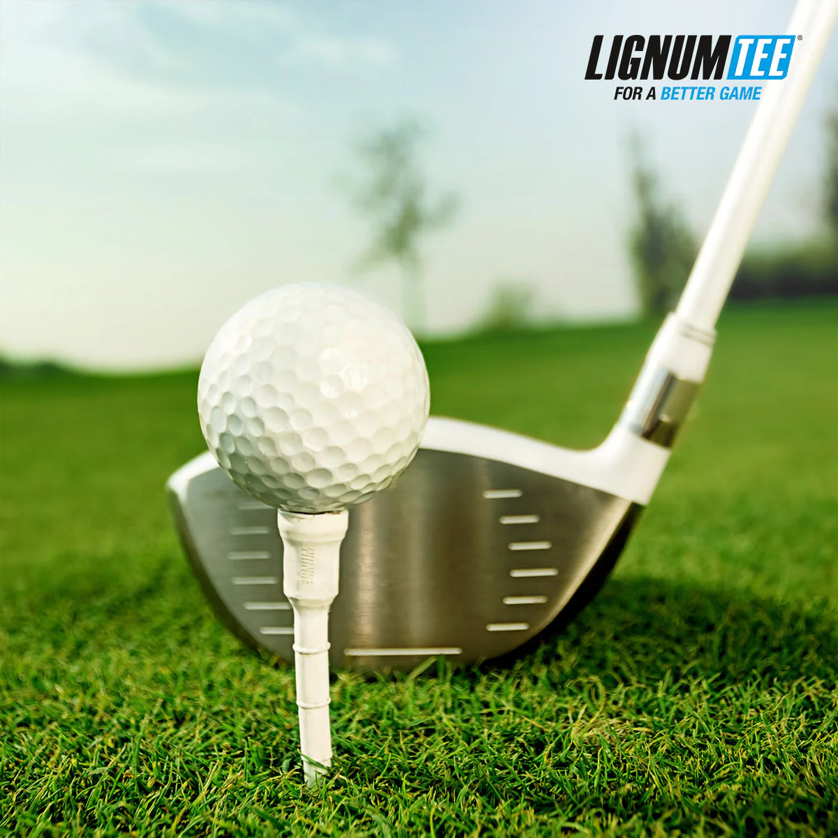 Lignum Classic Golf Tees - Image 3
