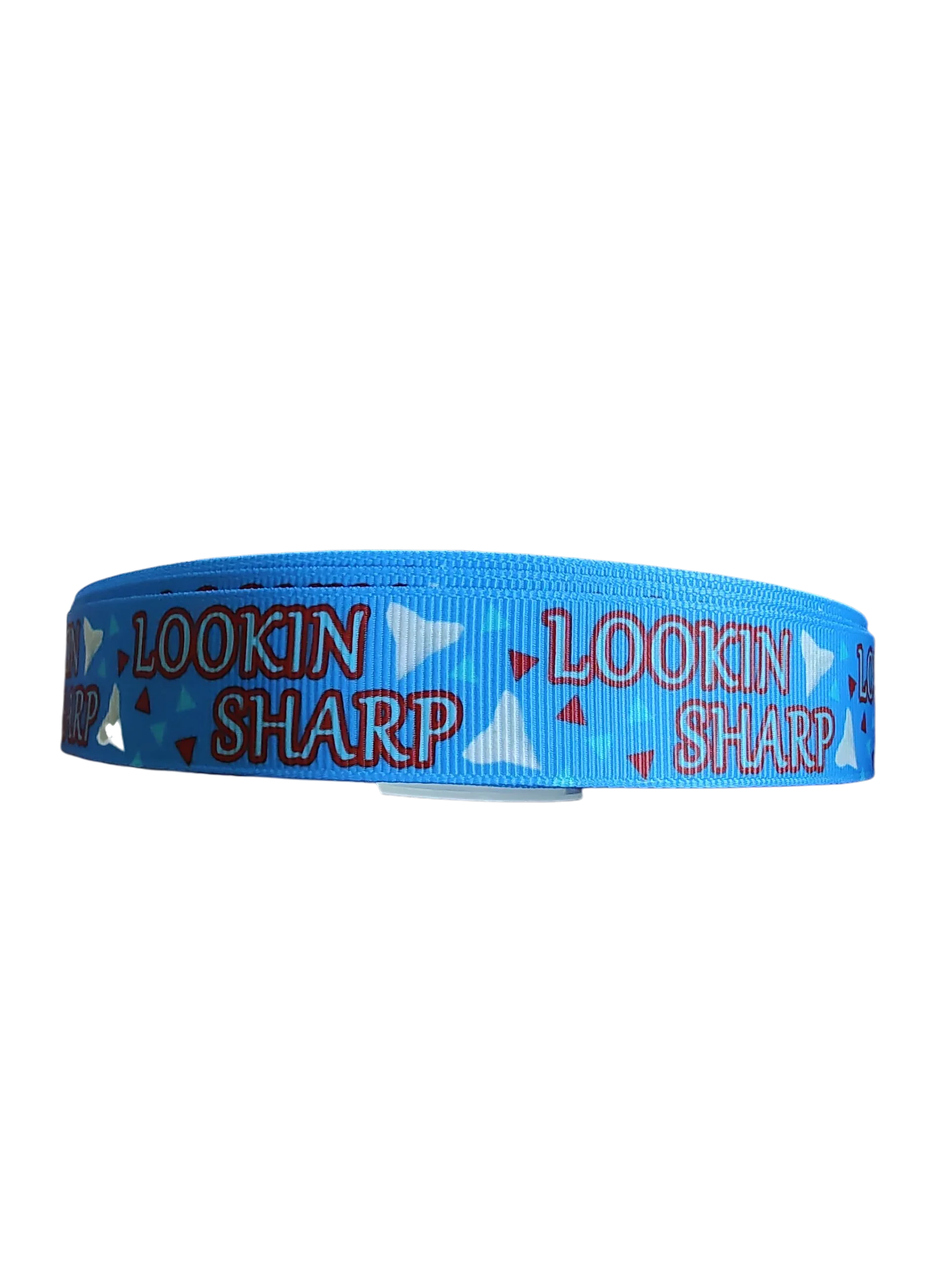 Lookin Sharp Nylon Dog Collar