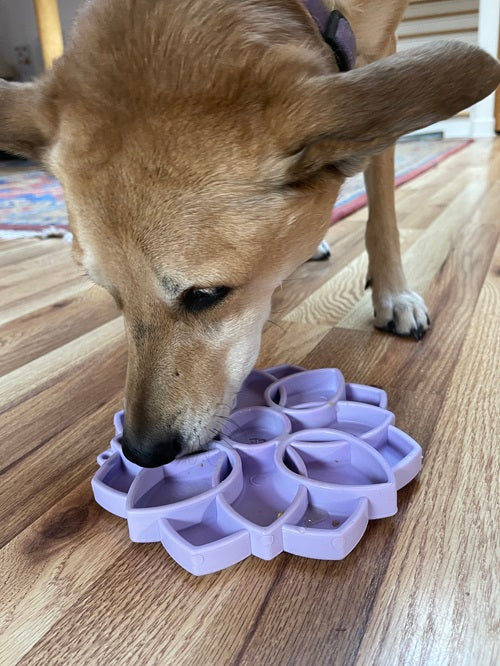 Mandala Softie eTray Shallow Slow Feeder Dog Bowl with Suction Cups | USA Made - Image 8