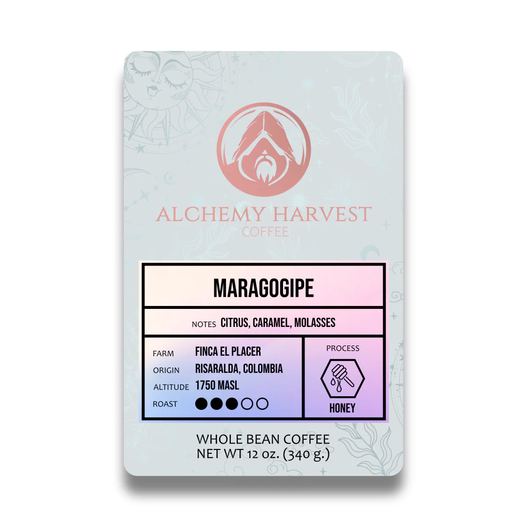 Maragogipe - Honey - Image 3