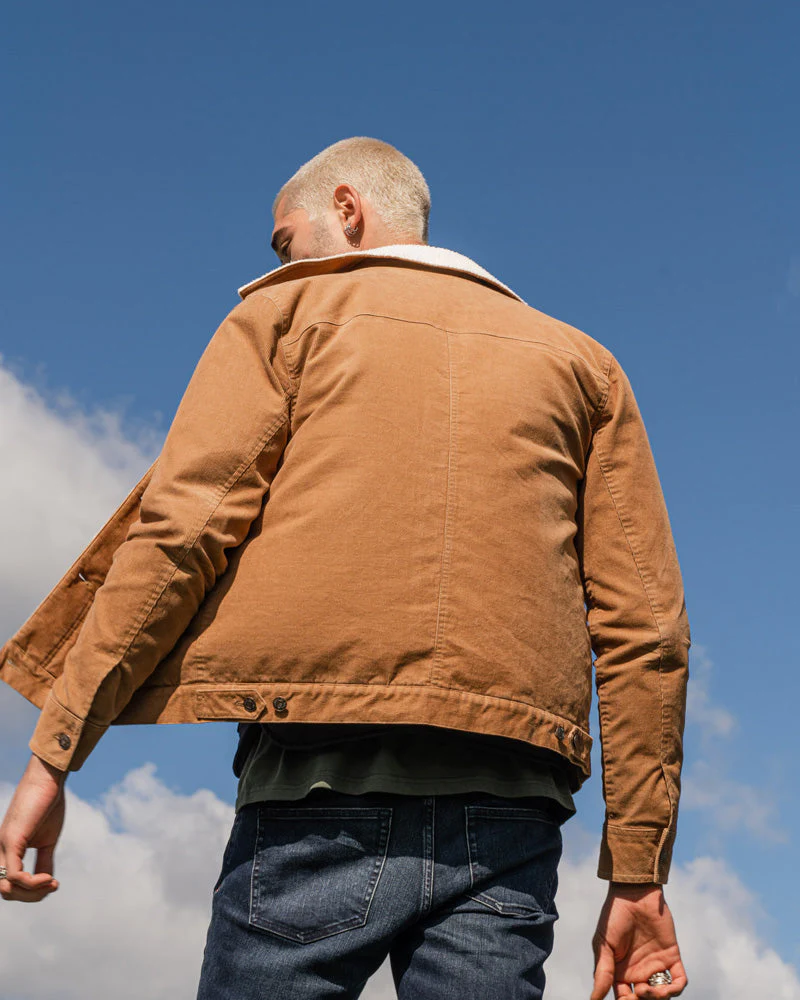 Organic Corduroy Aviator Jacket - Image 7