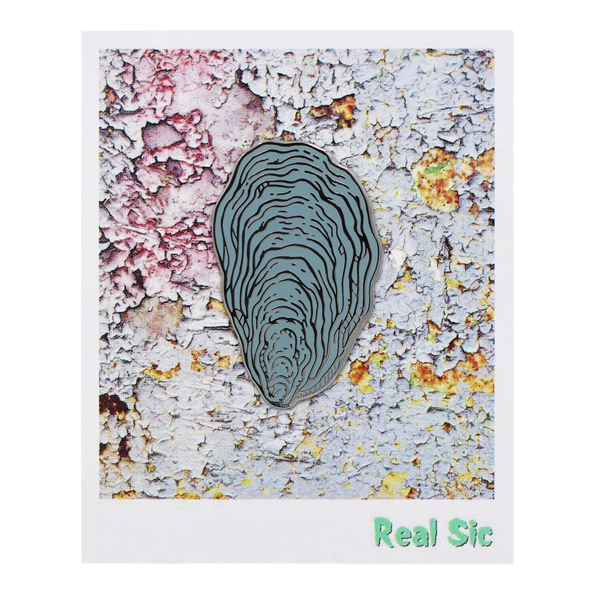 Oyster Shell Pin Badge By Real Sic - Coastal Decor, Mother's Day Gift, Oyster Pin Badge - Image 4