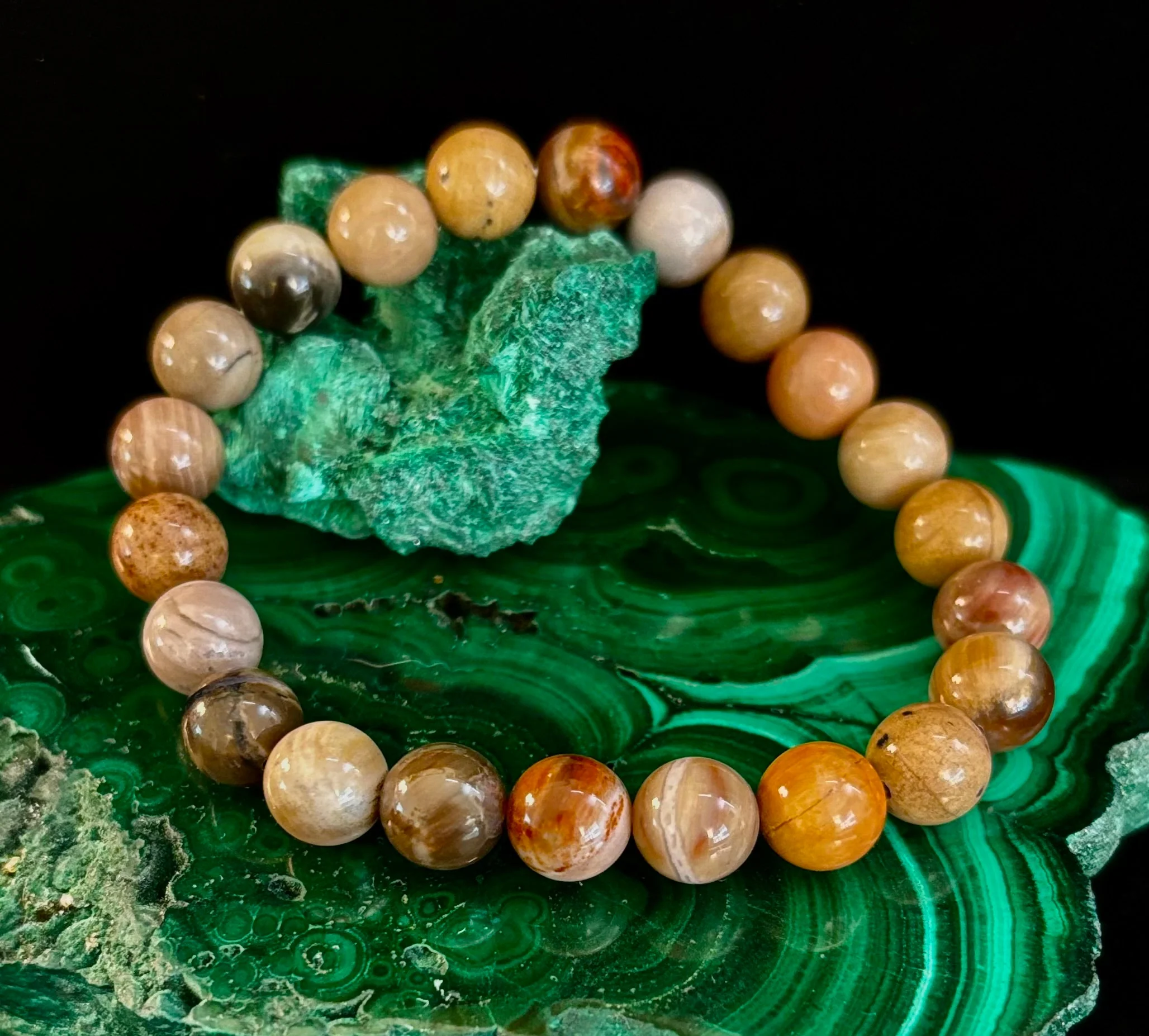 Petrified Wood Bracelet β 8mm Beads, Medium Wrists - Image 10