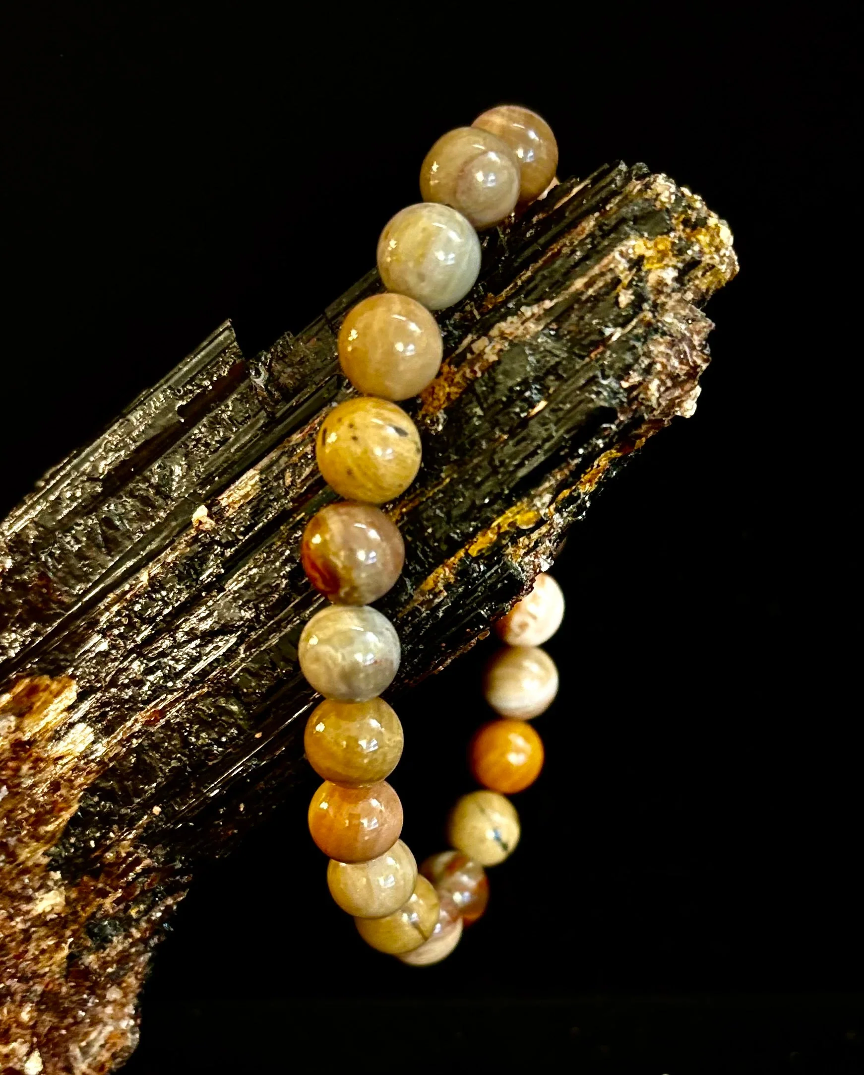 Petrified Wood Bracelet β 8mm Beads, Medium Wrists - Image 7