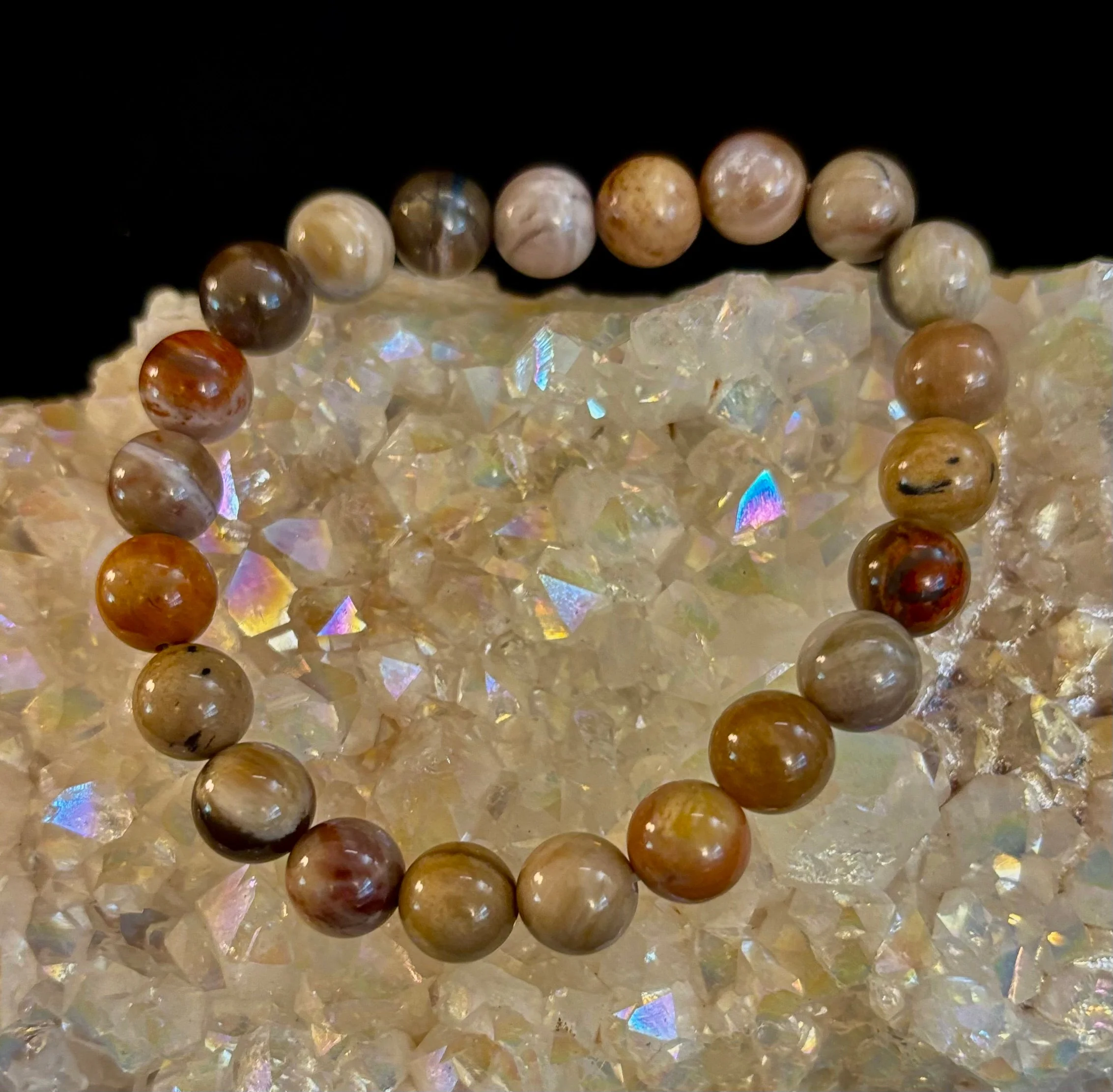 Petrified Wood Bracelet β 8mm Beads, Medium Wrists - Image 9