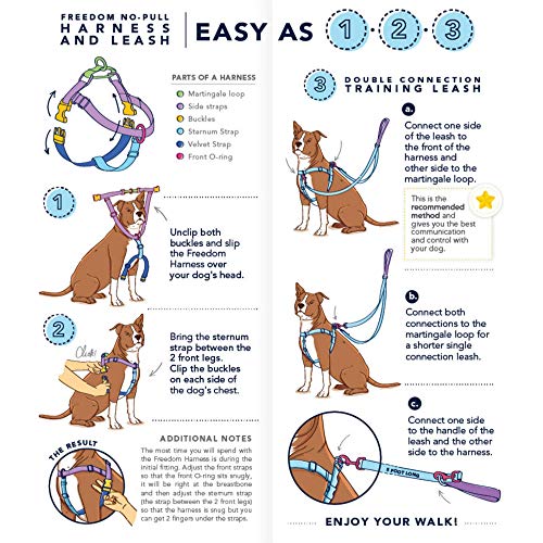 Presents Galore Freedom No-Pull Dog Harness – EarthStyle - Image 7