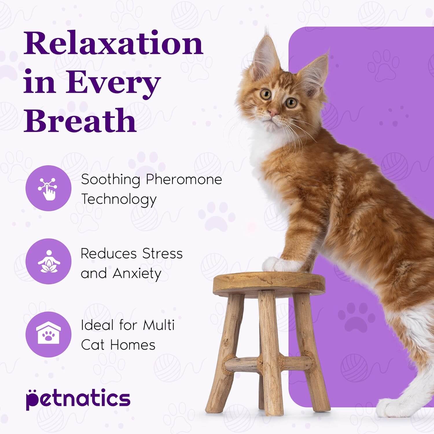 Purrfect Cat Calming Diffuser Kit with 2 Refills - Image 6