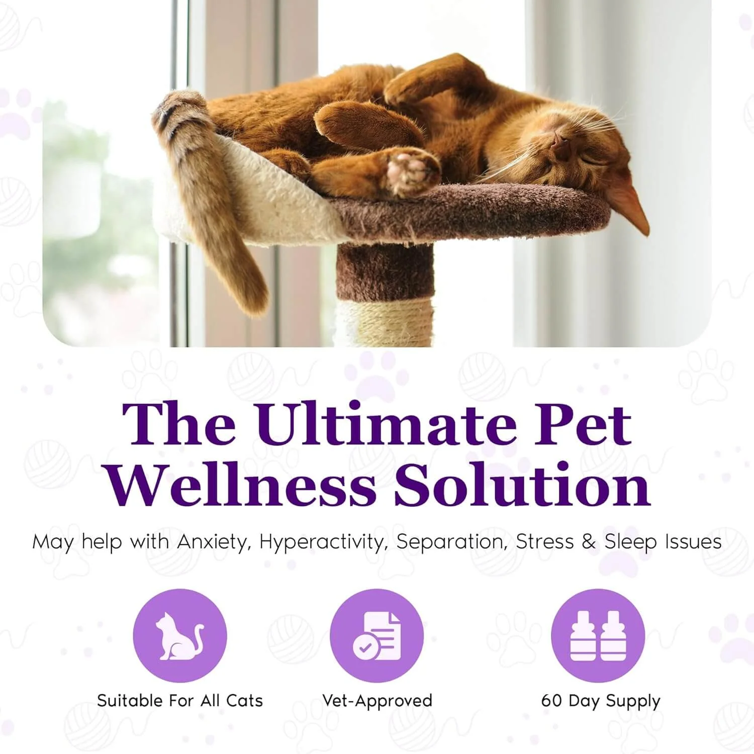Purrfect Cat Calming Diffuser Kit with 2 Refills - Image 8