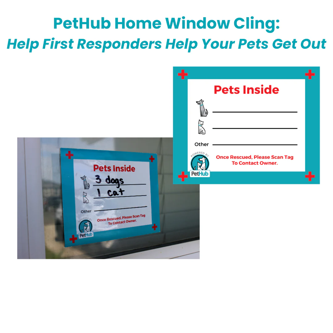 QR Pet Comprehensive Identification: Mini ReadyKit - Image 6