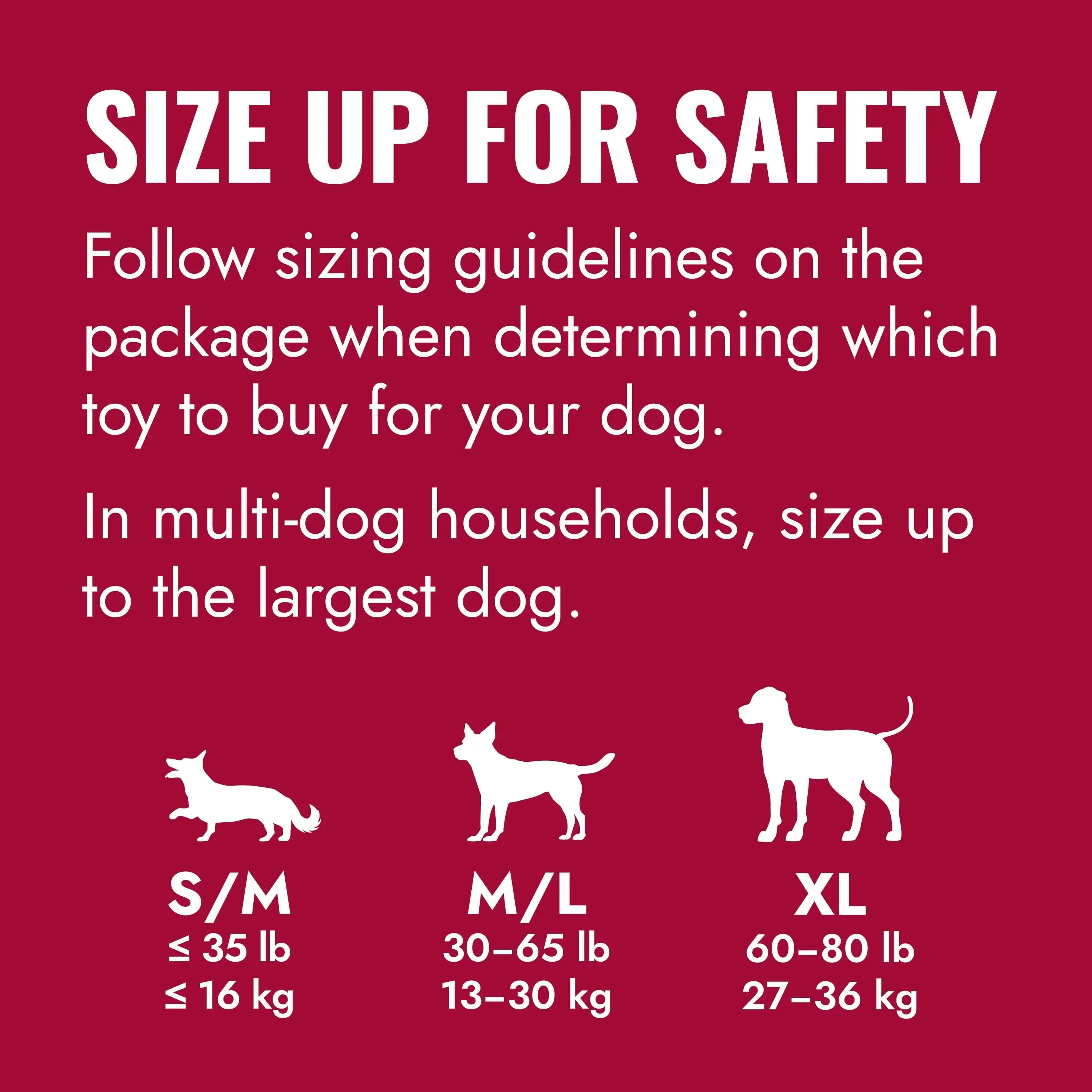 ® Ring Dog Toy, Medium/Large - Image 3