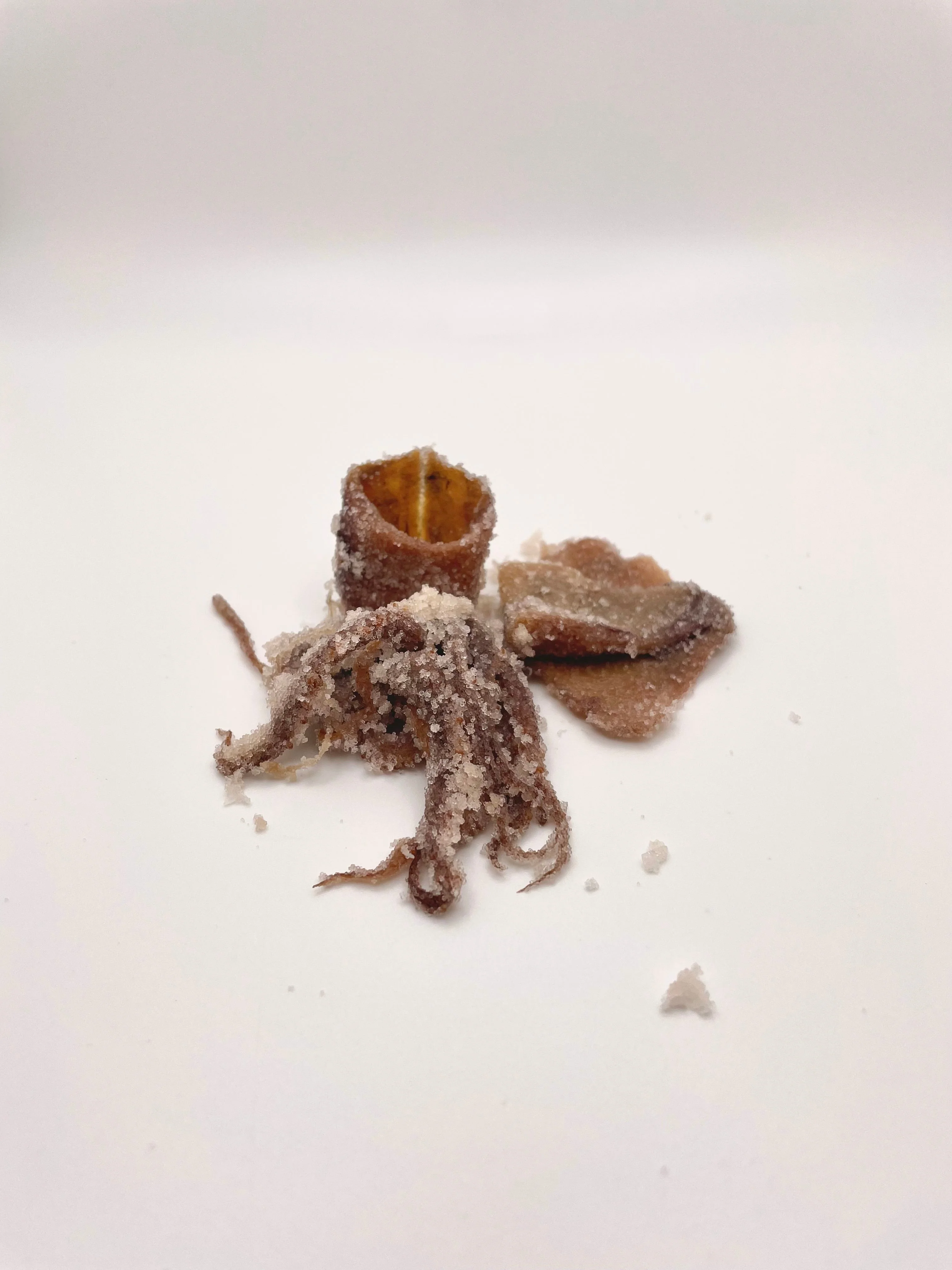Salted Squid