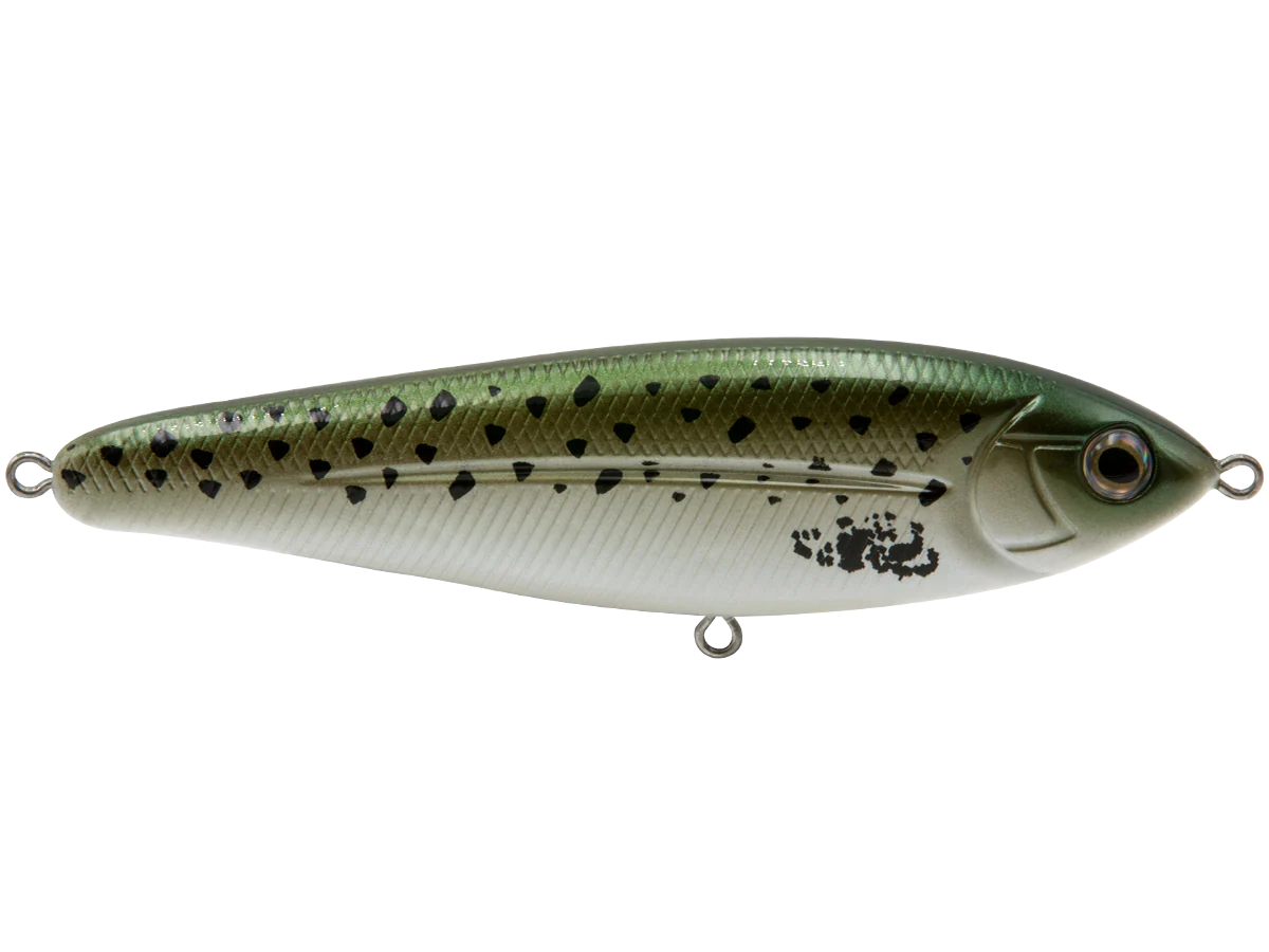 School Master Salt Water - Image 14