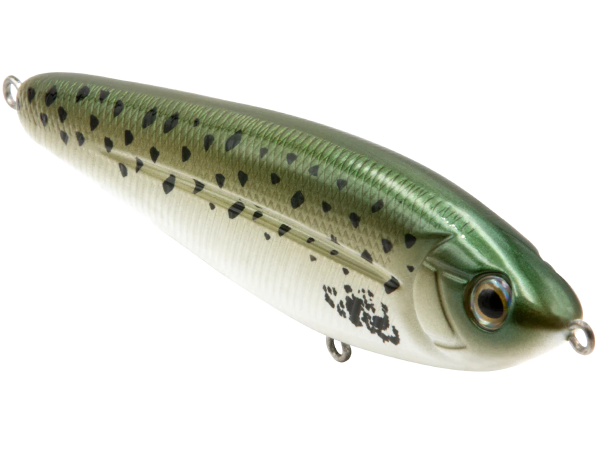School Master Salt Water - Image 16